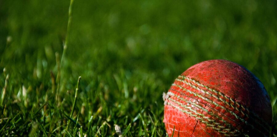 Cricket plans domestic return for men and women