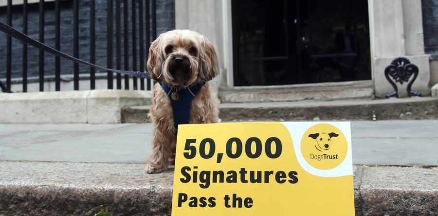 Dogs Trust urges Government not to drop the ball on Kept Animals Bill